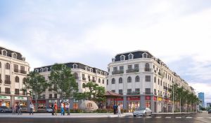 dat-dau-gia-son-dong-hoai-duc-8